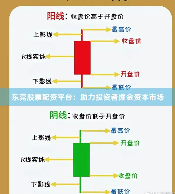 东莞股票配资平台：助力投资者掘金资本市场